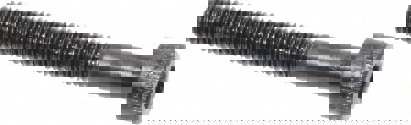 Hex Socket Cap Screw: M4 x 0.70 Metric